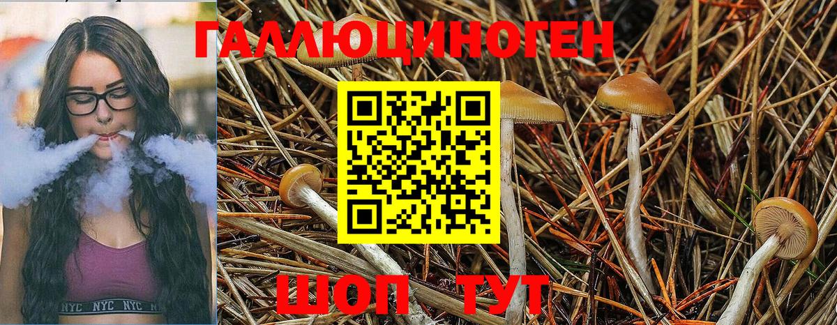 Галлюциногенные грибы Magic Shrooms Валуйки