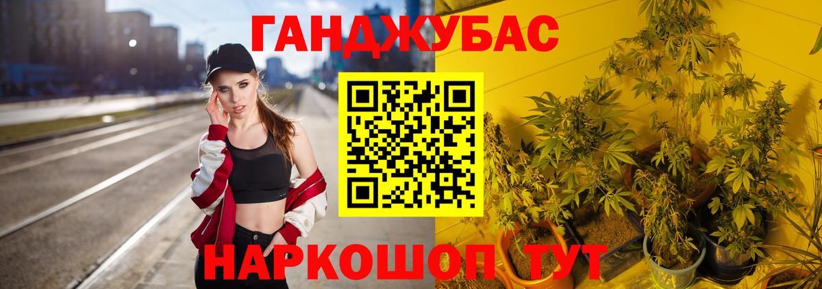Валуйки  Бошки марихуана конопля  Канабис White Widow  Вход с VPN  Конопля сатива  Канабис планчик 